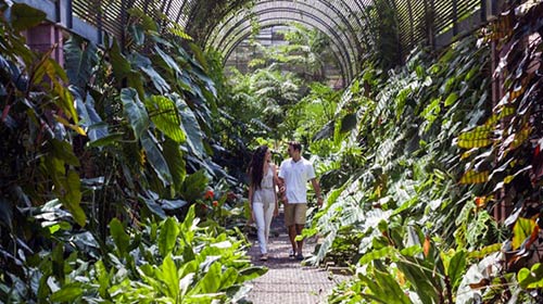 Jardín botánico